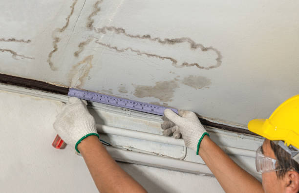Reliable Water Damage contractor in Fontana, KS by Water Damage Irwin